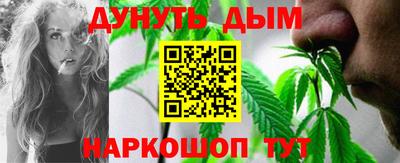 стаф Новодвинск